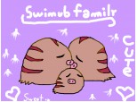swinub family
