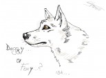 dog..or fox..idk exactly -.- 