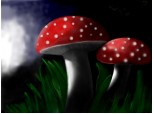 ...Seria 2: mushrooms invasion...