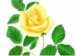 Trandafir (avand in vedere k e vineri :|,prietenii stiu dc =)) ) ;)