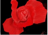 Trandafir, color facut dupa o img amintita- pag blocata unde desenam de la 20.30 x-( (nume nou :&