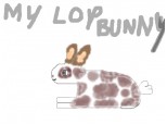 My webkinz signature lop bunny