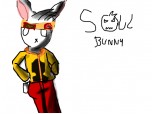 soul bunny