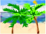 palmierii de pe plaja