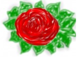 un trandafir urat