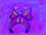 mystic butterfly