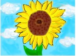 floarea-soarelui^_^