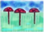 ciuperci in ploaie