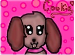 Cookie :3