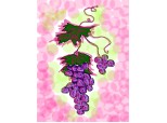 Grapes Portrait