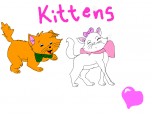 kittens(pisoi)