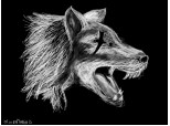 Wolf~