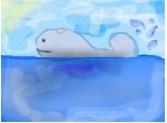 Balenaa  in ocean
