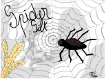 Spider silk