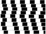 optic illusion