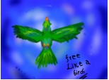 Free like a bird on the sky...
