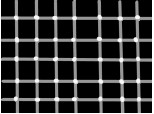numara punctele negre din interiorul punctelor albe