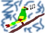 papagalul riri la concert