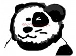 Ursul panda iubitor
