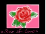 The rose of love