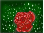 rain rose(mare se vede bn)
