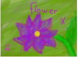 Floare:X