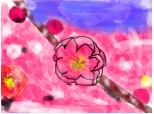 sun camp cu flori roz