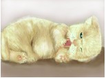 Soft kitty ,warm kitty, little ball of fur,,,,