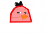 Poul -ANGRY BIRDS
