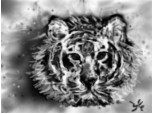 Tigrul din ceata :D