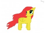 A random pony :)