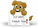 Scrappy needs love!