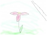 Floarea