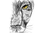 A sketch Lion Female