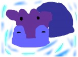 hipopotam