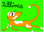 Zillinca, the naturiste cat.