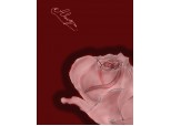 Ttrandafirul roz