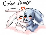 cuddle bunny