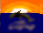 delfin in apus