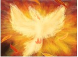 Pheonyx - Bird of Fire