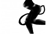 corpul pisicii negre :)