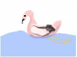 Flamingo lebada