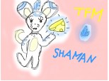 Shaman Transformice