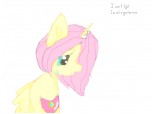 Princess Fluttershy (my first pony, the body is not like a human body, just to know)