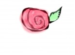 trandafir#3