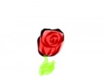 trandafir #4