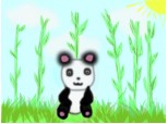 Kawaii panda