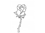 Trandafir #2