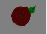 Trandafir #1