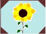 Colaj floarea-soarelui